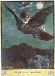 Flug auf dem Vogel, Illustration aus 